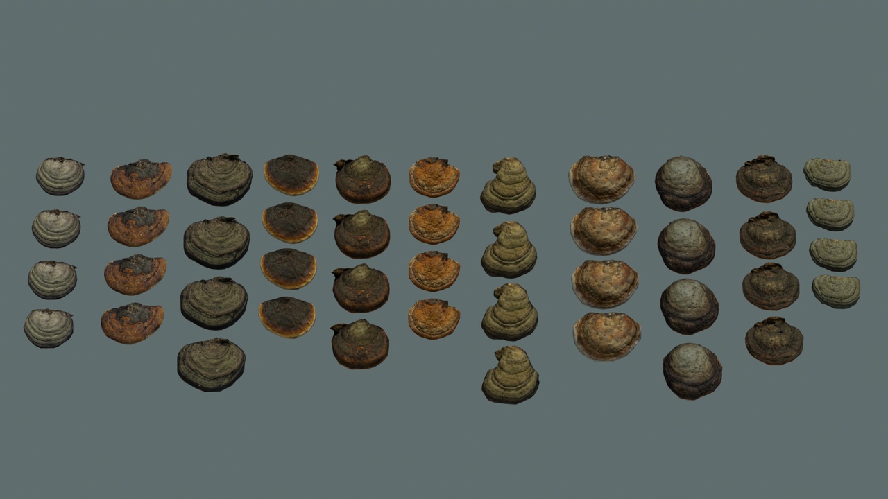 Media 1 for listing Wood-decay fungus collection