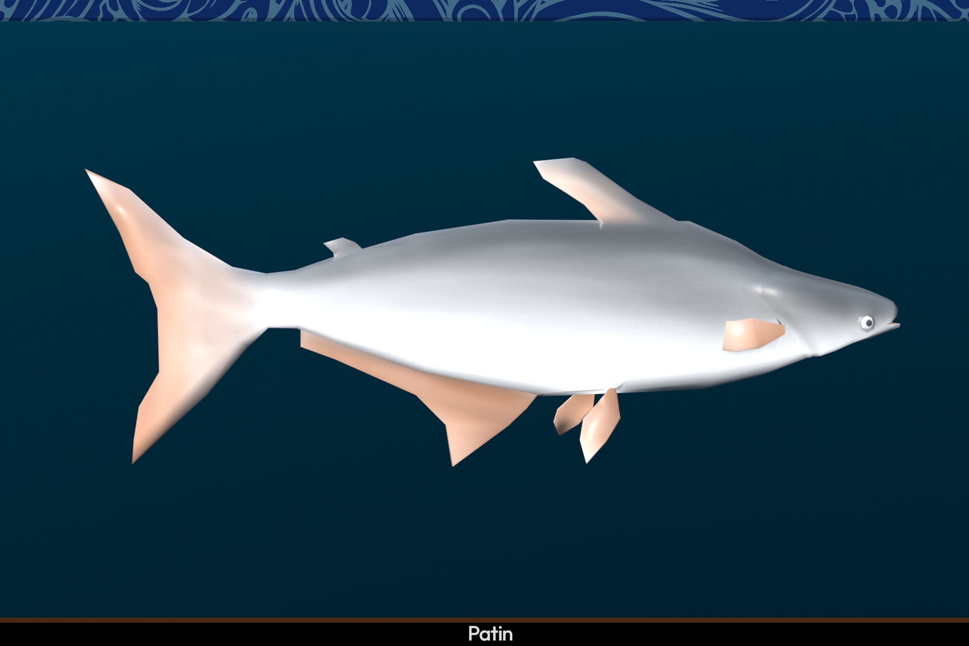 Media 1 for listing Nusantara Fishes