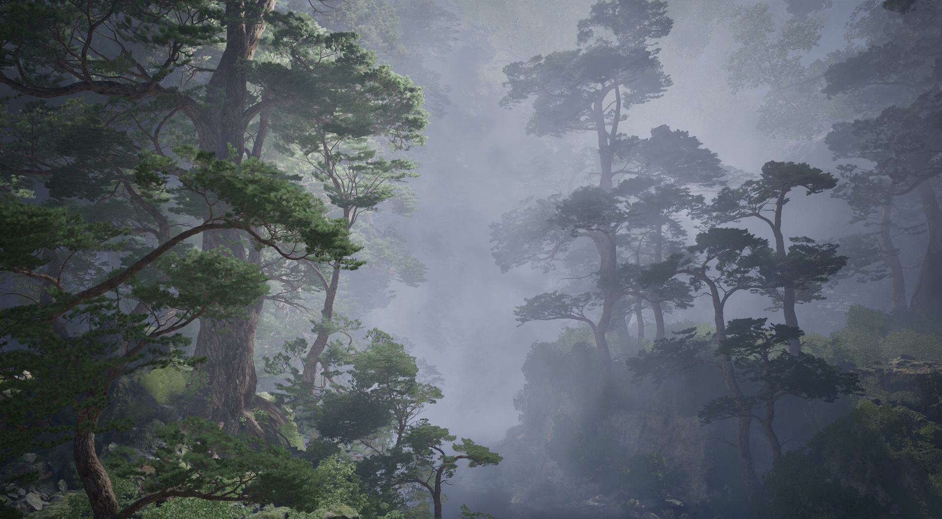 Media 1 for listing YF-Env:Cliff Pine Tree