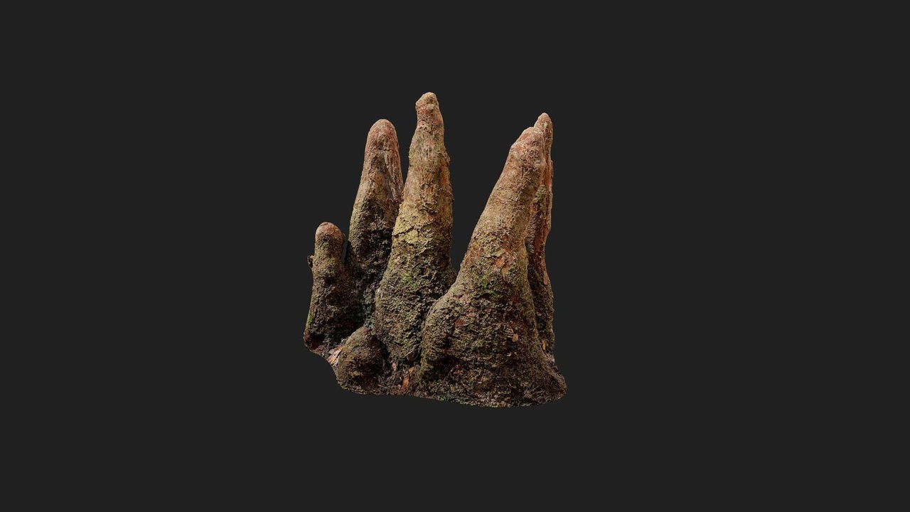 Media 1 for listing Forest American Tree Stump Mixed Large 02