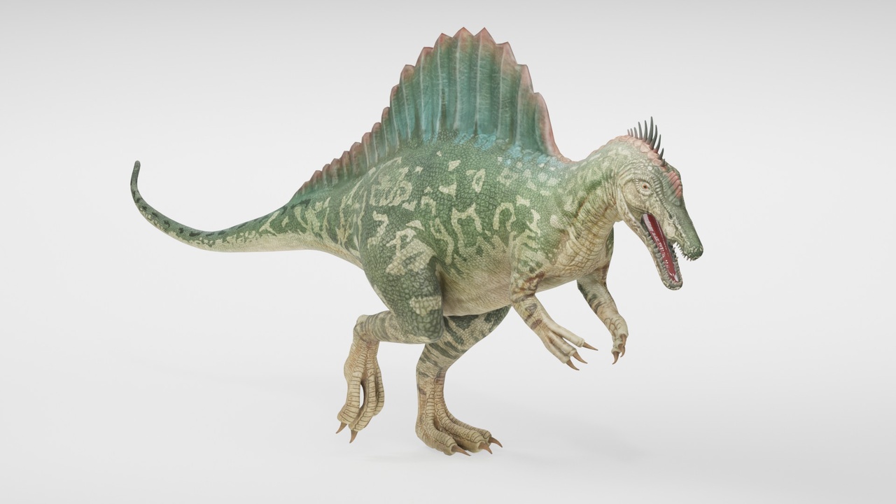 Media 1 for listing Realistic Spinosaurus Dinosaur