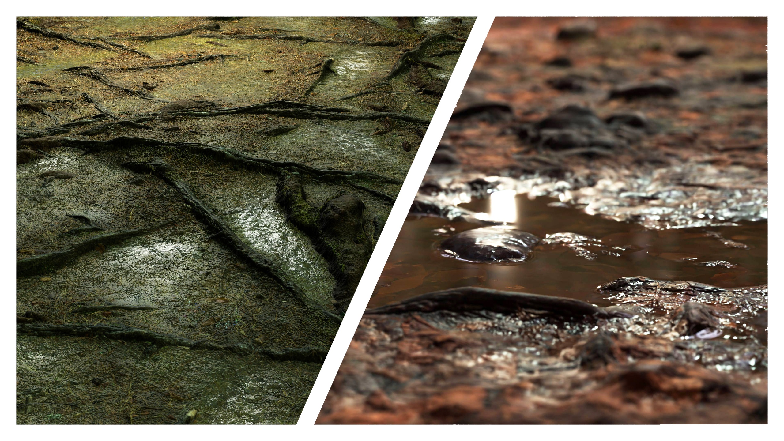 Media 1 for listing Forest Floor 8K PBR Texture Combo
