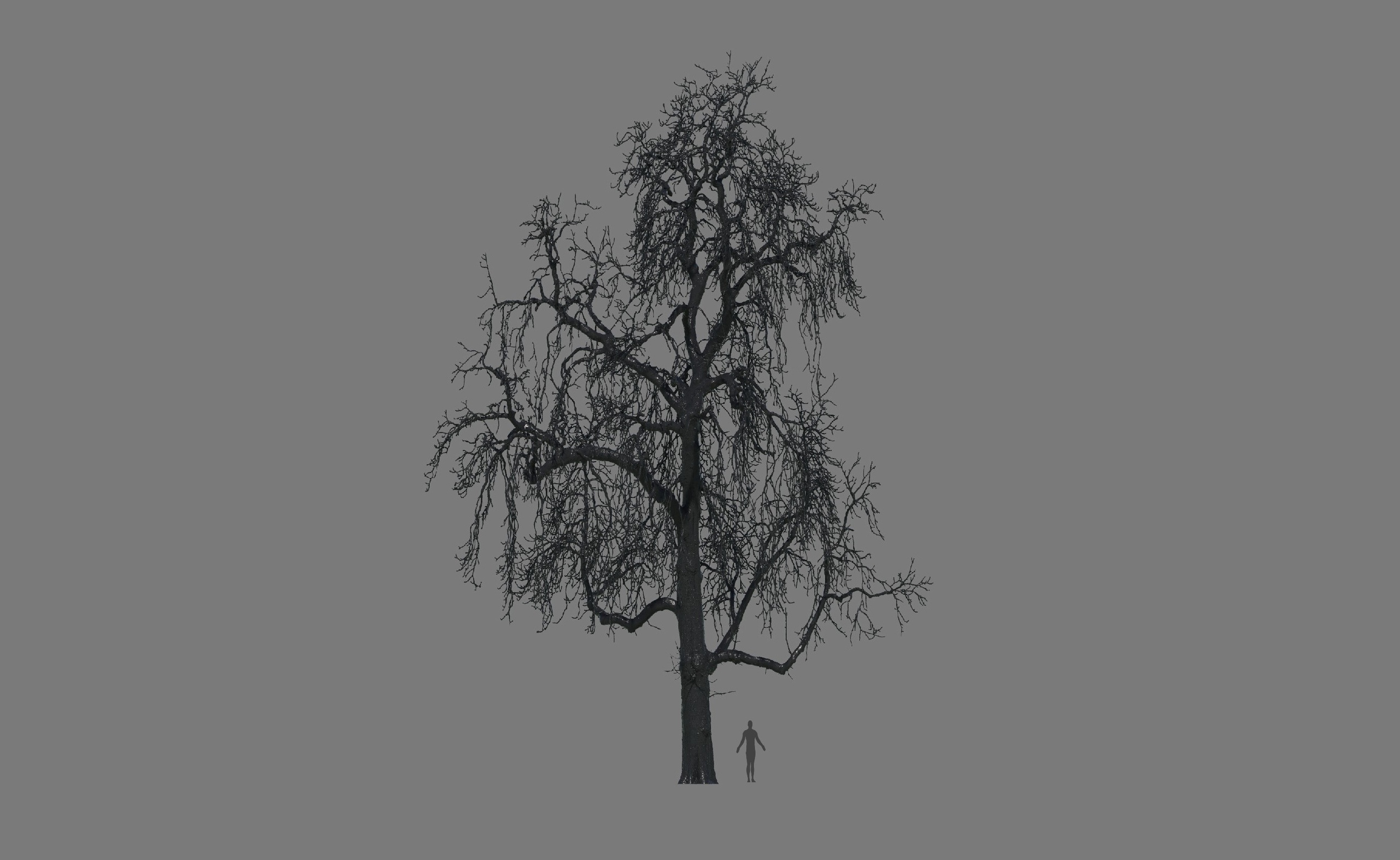 Media 1 for listing Horse Chestnut Tree (Aesculus hippocastanum) 15 Million Polys Mesh , dead tree