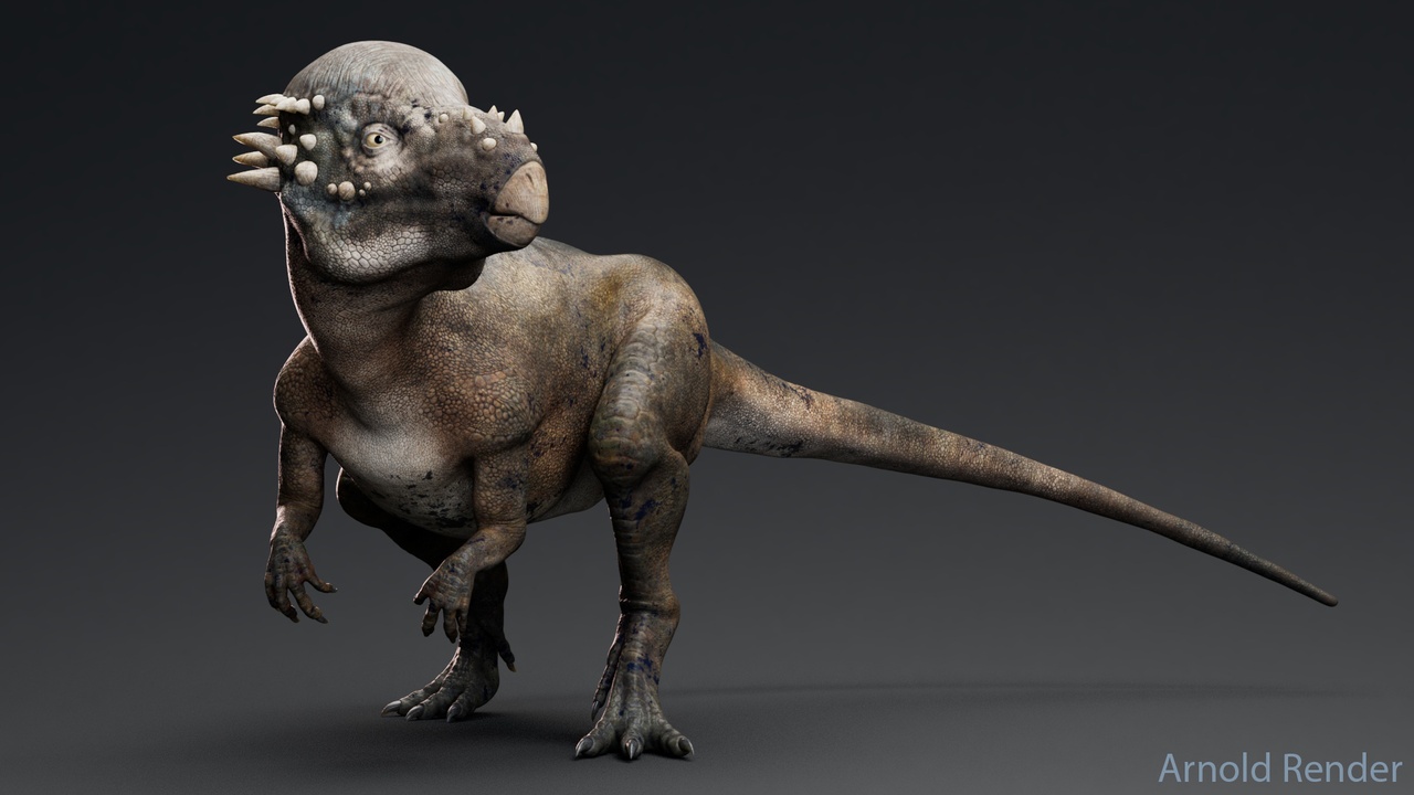 Media 1 for listing Dinosaur Pachycephalosaurus