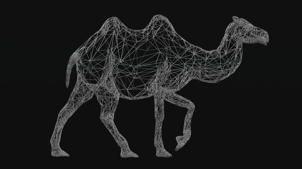 Media 1 for listing CAMEL WIREFRAME