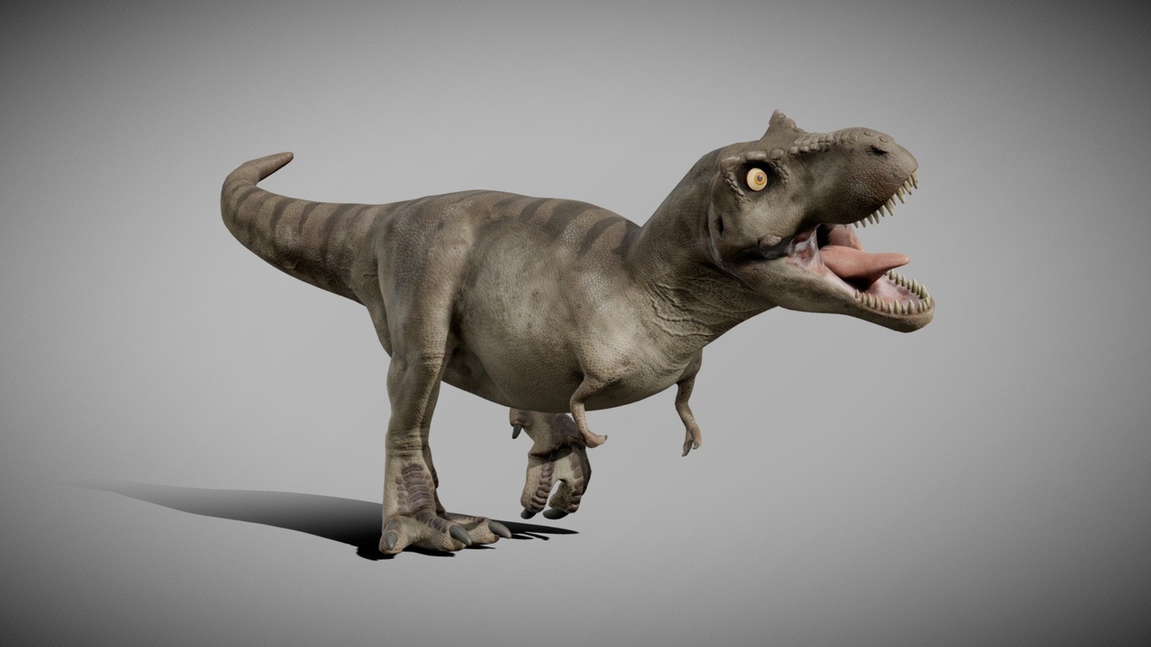 Media 1 for listing Tyrannosaurus Rex 4.3
