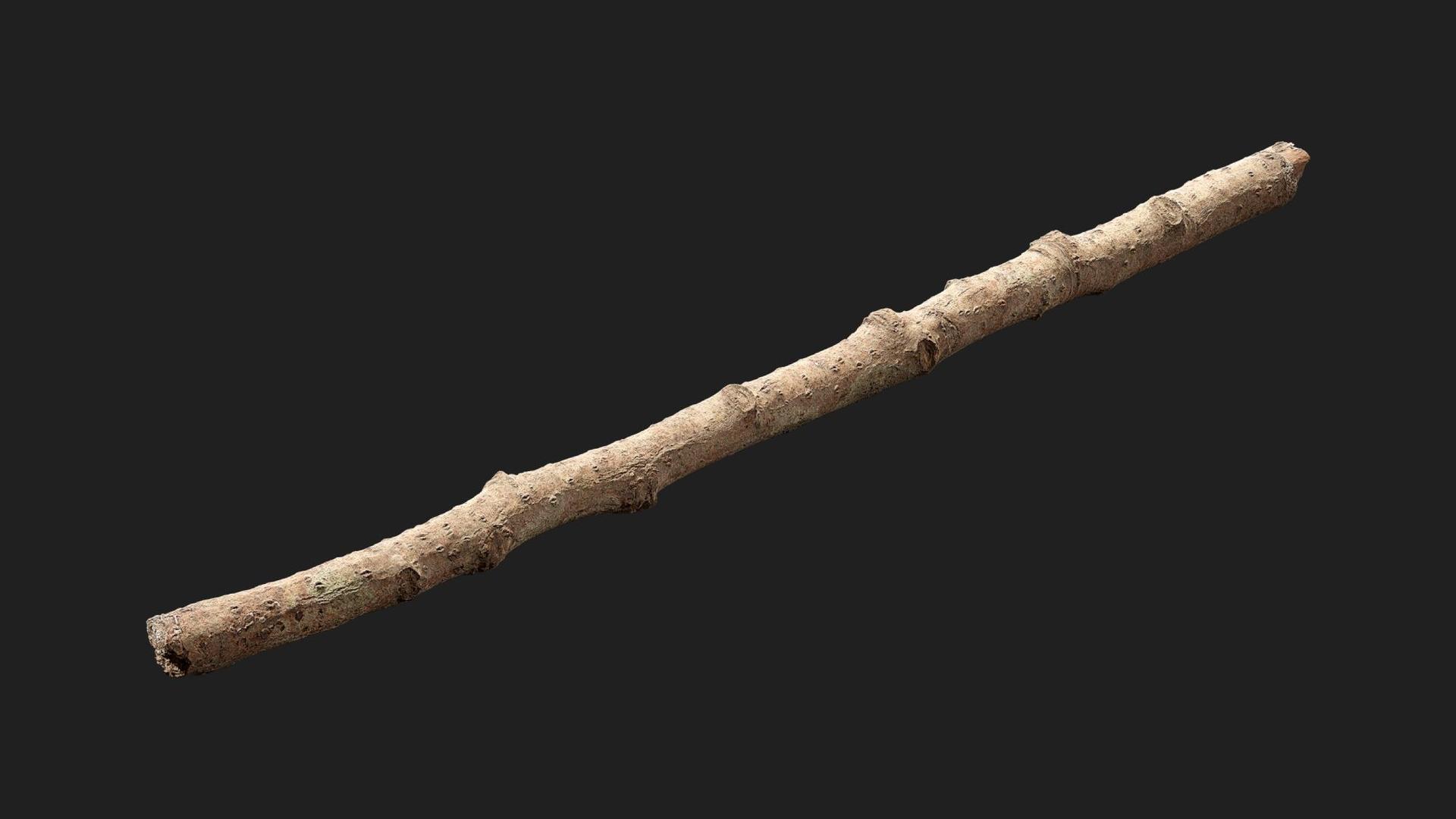 Tree Debris | Fab