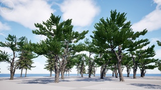 DZ Trees - Bundle Vol1 (Conifers & Deciduous Trees) | Fab