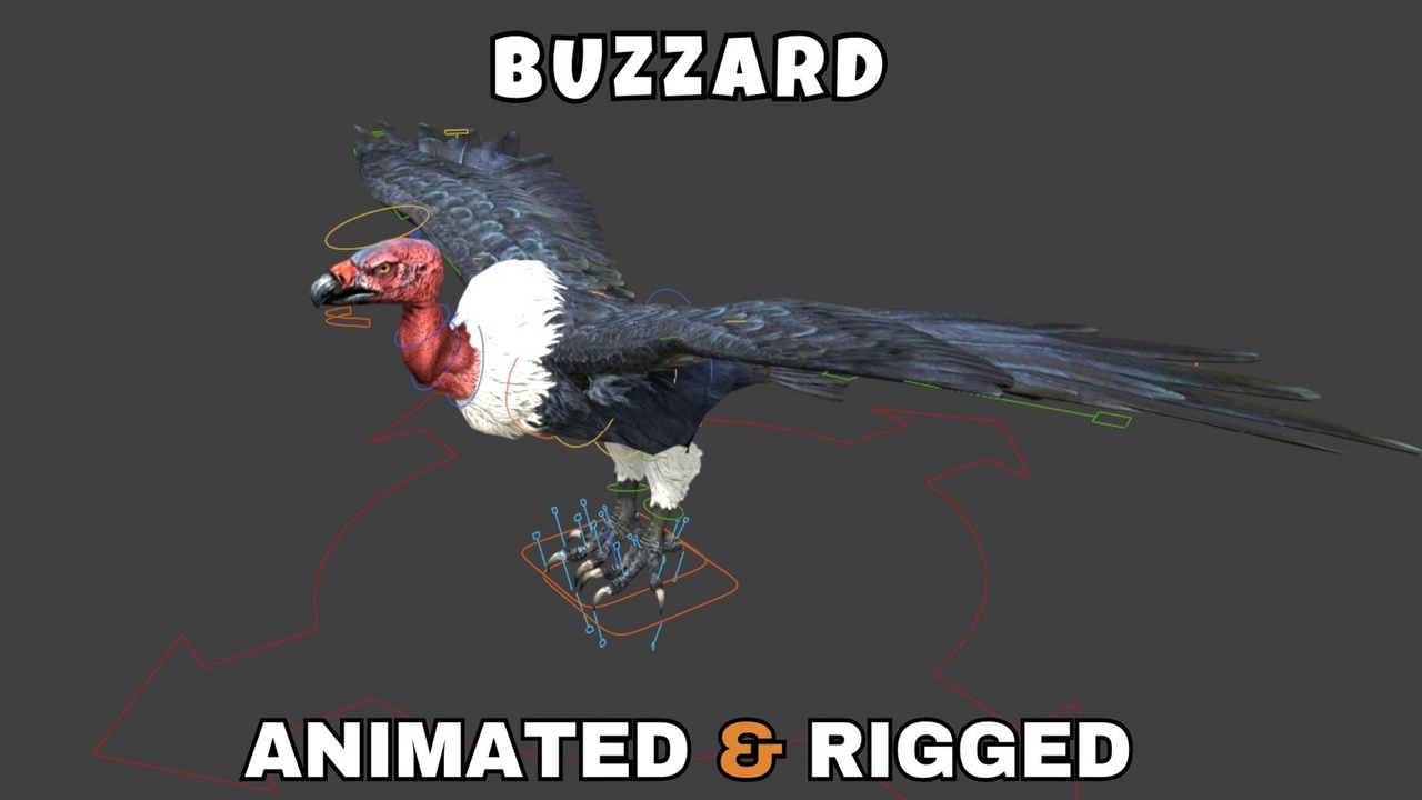 Media 1 for listing Buzzard Rigged And Animated 3D Model
