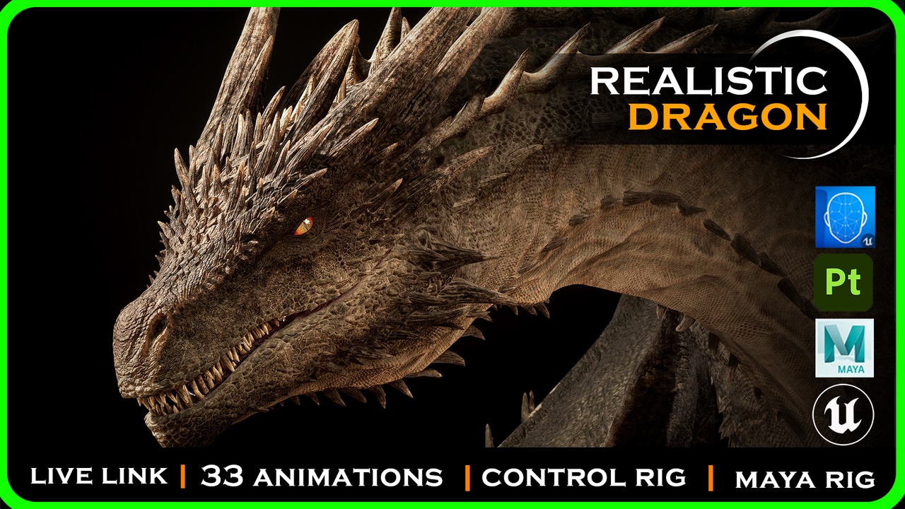 Media 1 for listing Dragon Realistic