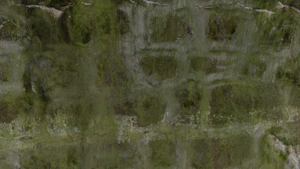 Media 1 for listing Mossy tunnel wall