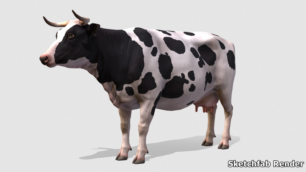 Cow 제품 등록을 위 한 미디어 1개