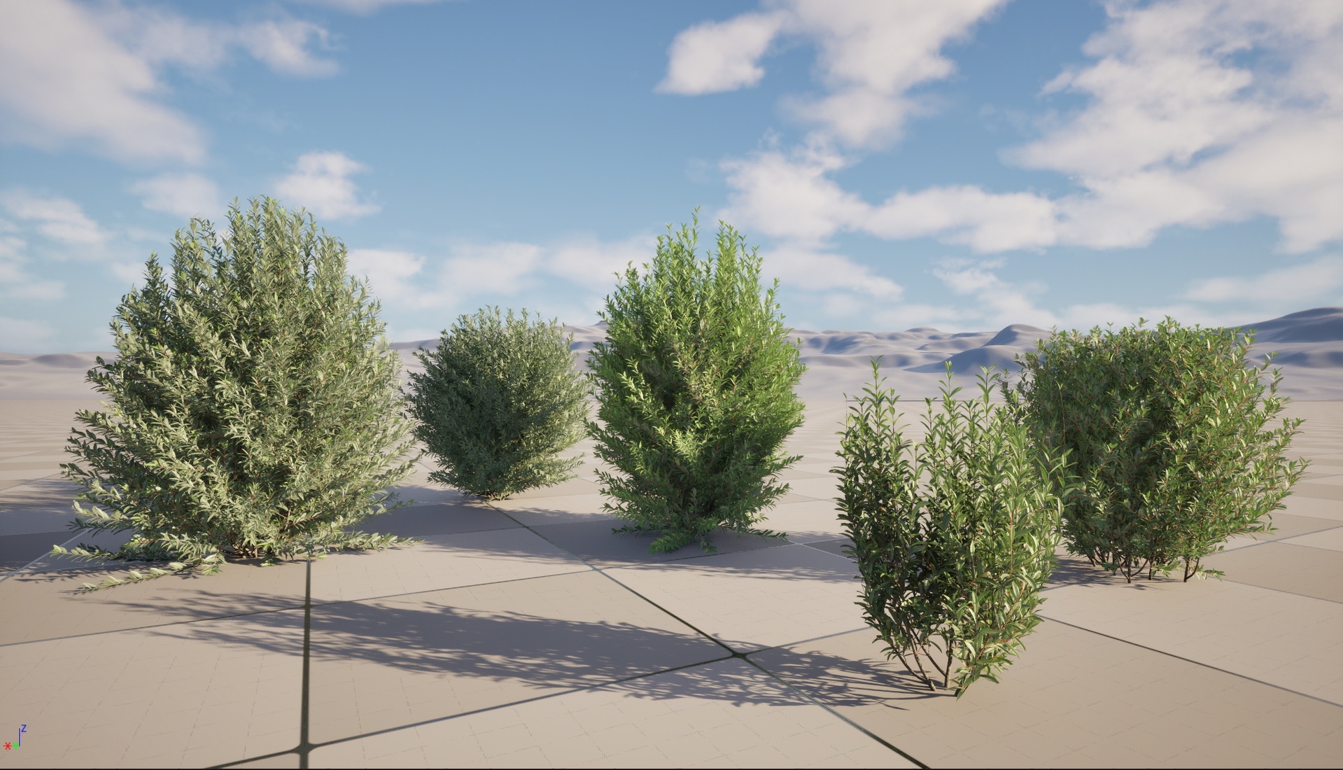 Media 1 for listing Nanite Wind Plants - Ligustrum vulgare – European privet