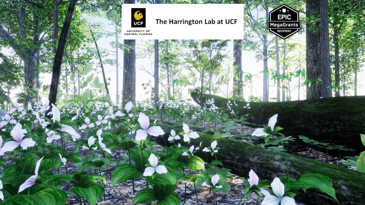 商品 35 AR VR Northeastern US Plants and Ecosystems 的媒体 1