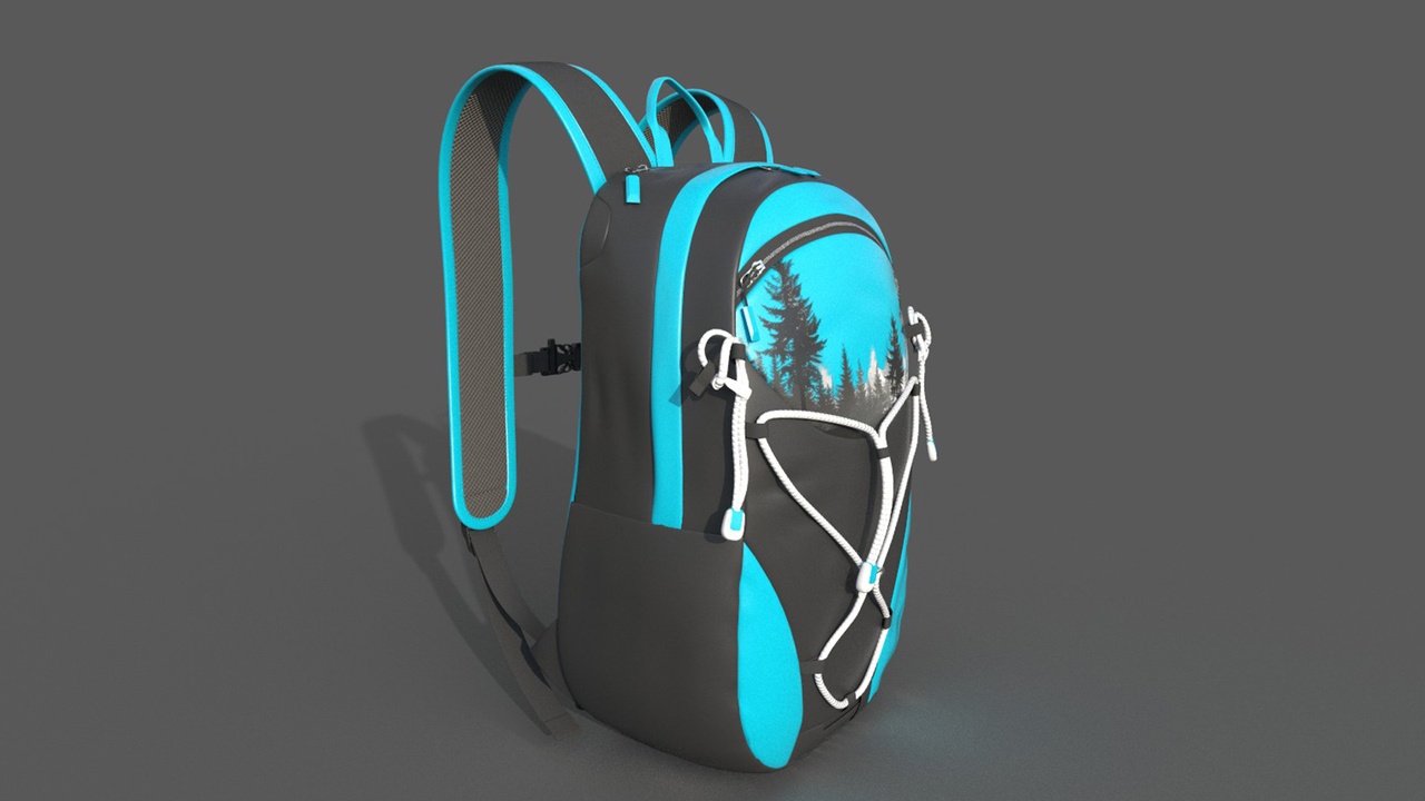 Media 1 for listing Backpack