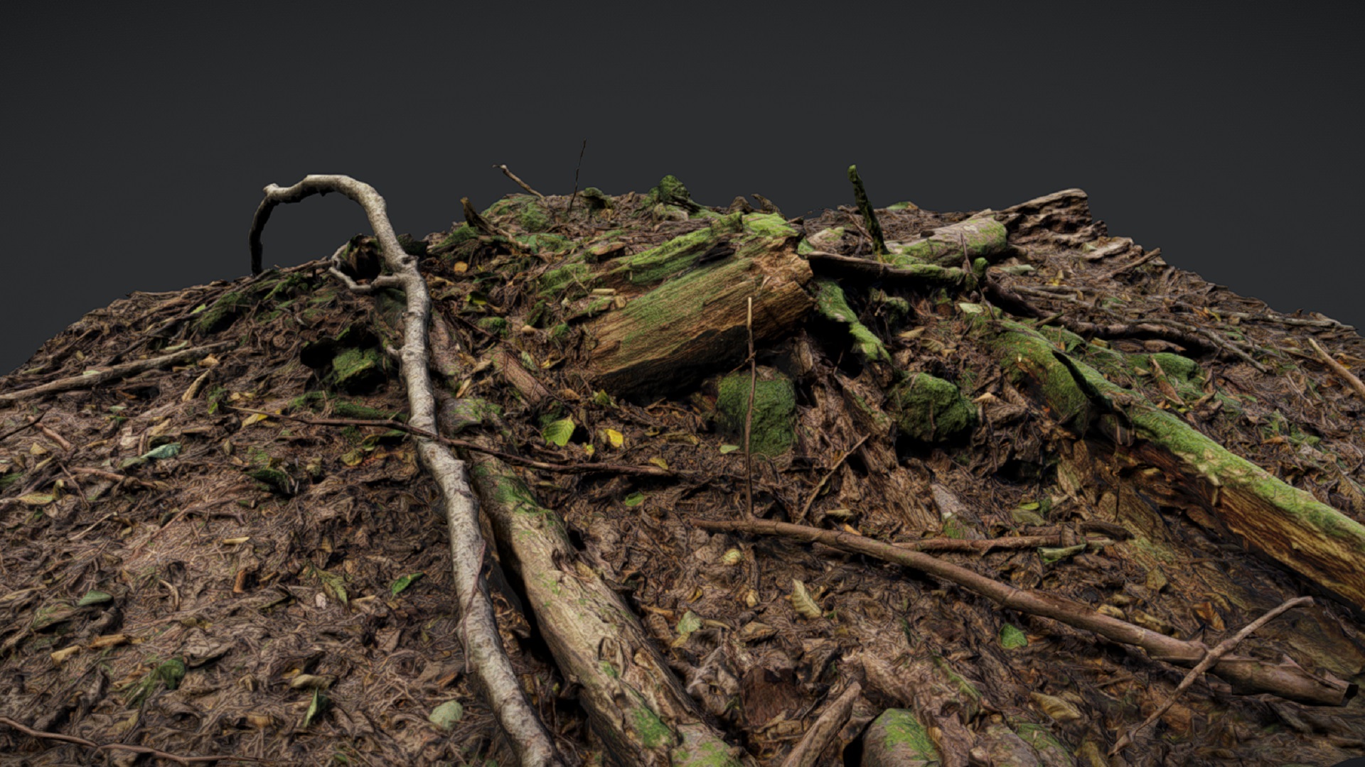Forest Ground 2 | Fab