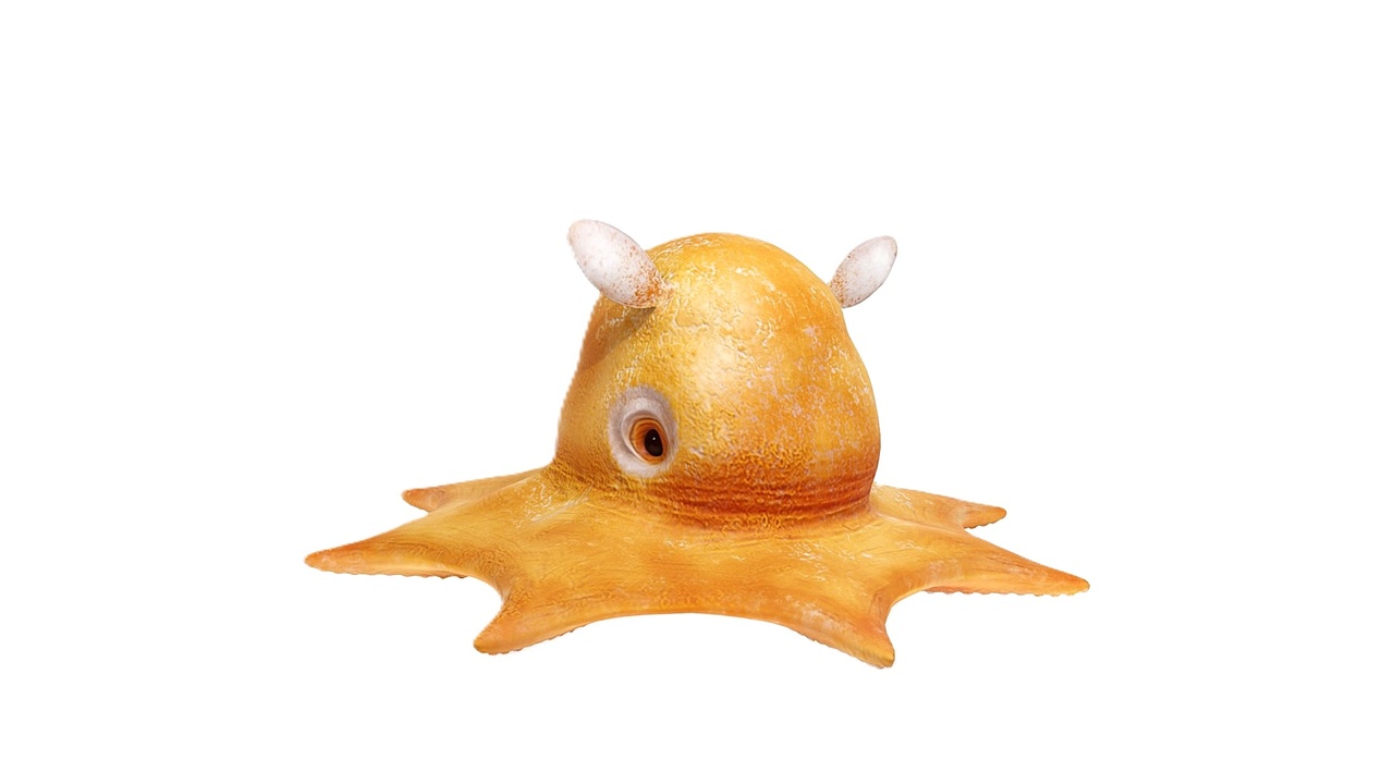 Media 1 for listing Realistic Ocean Animals & Sea Creature Pack