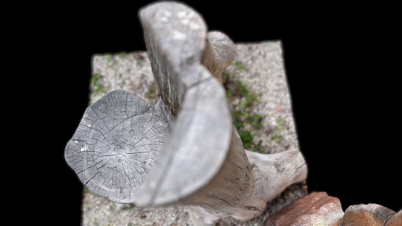 Media 1 for listing Wooden throne [tree trunk chair]