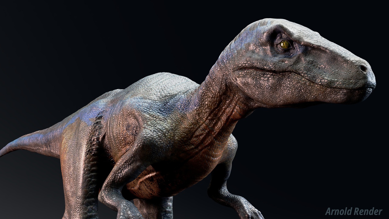 Media 1 for listing Dinosaur Raptor - Hybrid Velociraptor