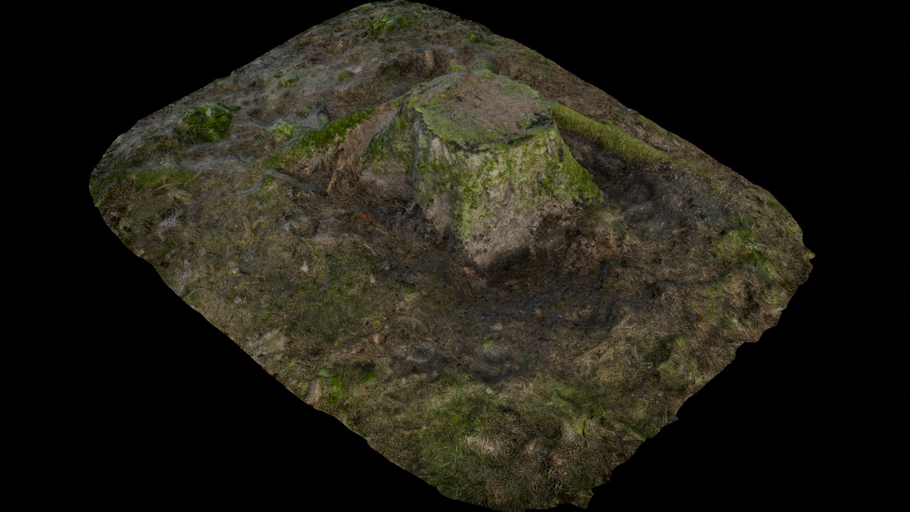 Media 1 for listing Mossy Tree Stump with Rugged Terrain