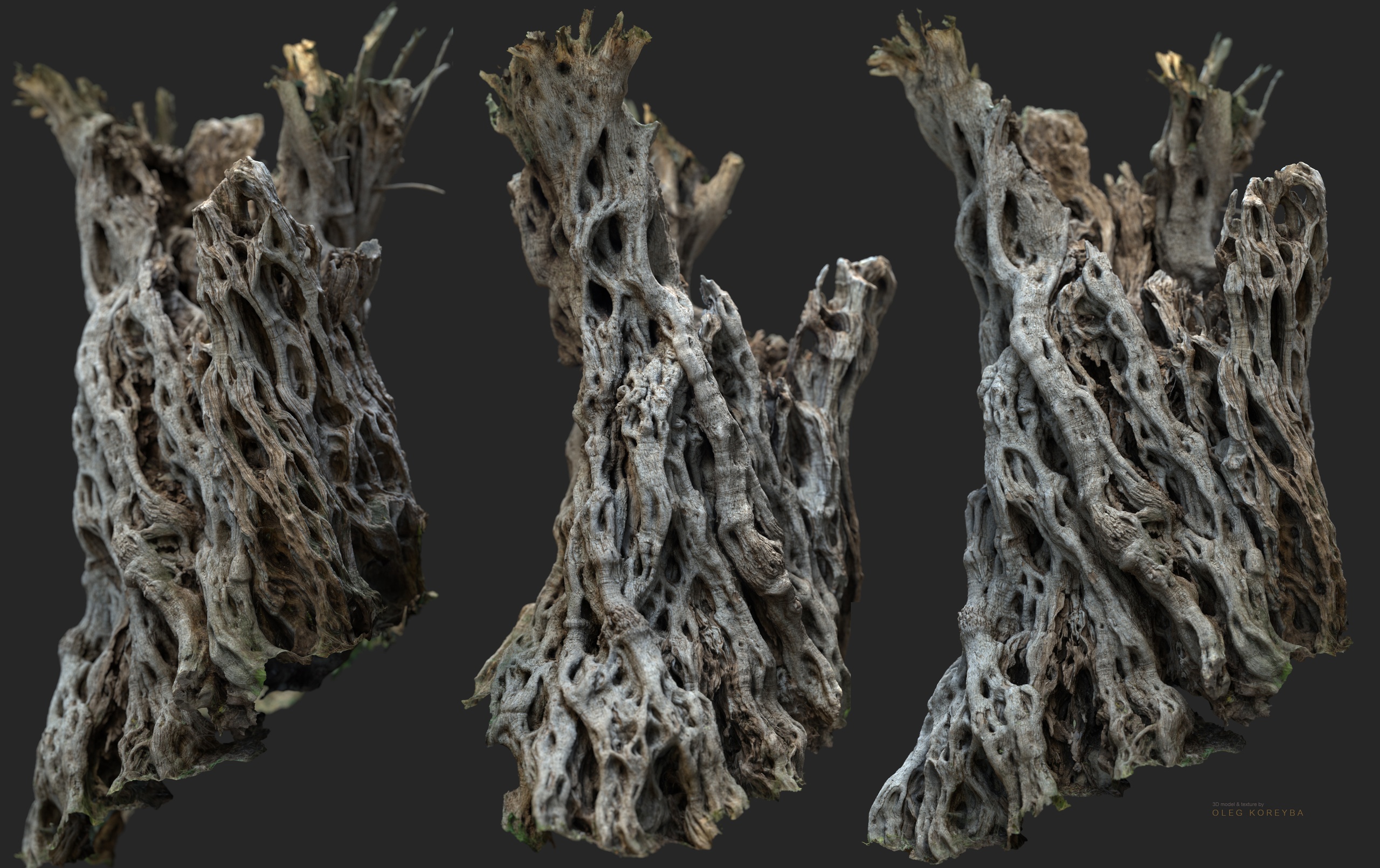 Media 1 for listing Giant Ancient Olive Tree #2 RAW 3D Scan 2x16k \ 1x16k Textures