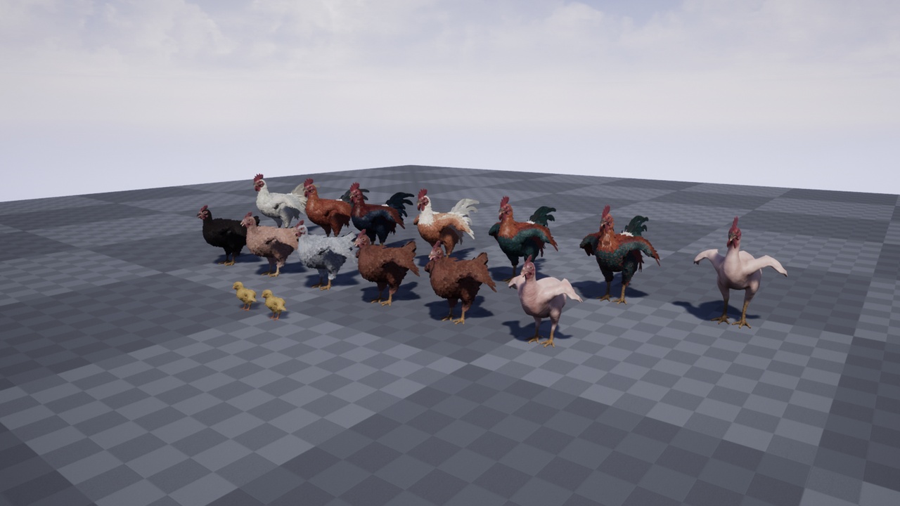 Media 1 for listing Pack of feathered chickens