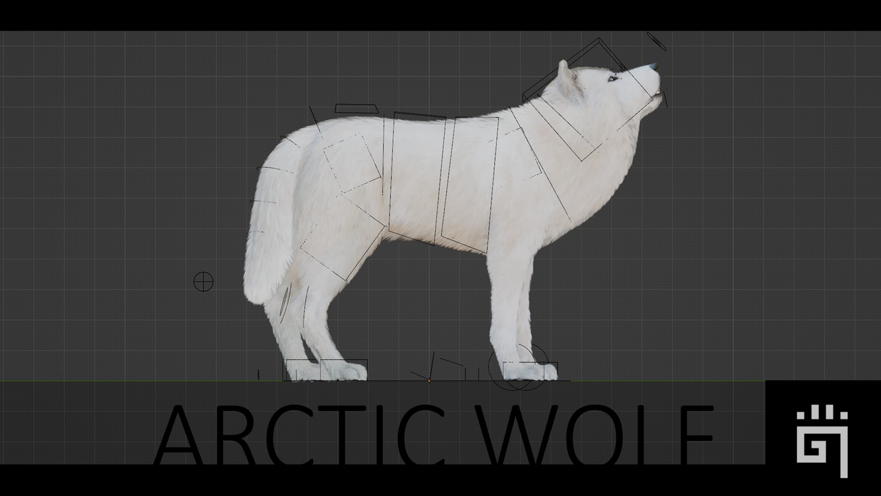 Media 1 for listing Arctic Wolf
