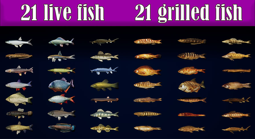 Fish Set | Fab