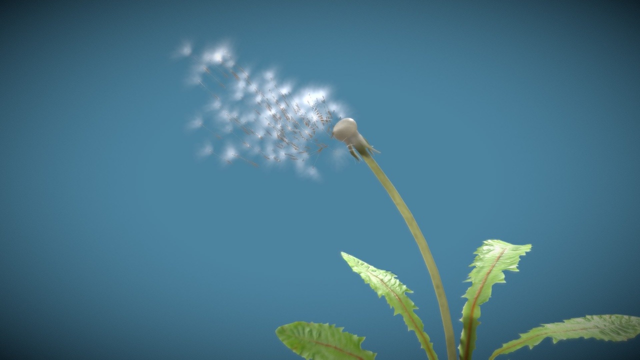 Dandelion in the Wind (Animated) 제품 등록을 위한 미디어 1개