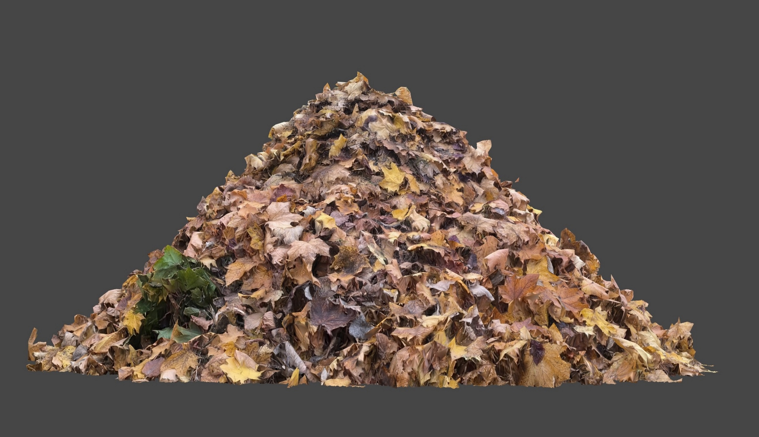 Media 1 for listing Leaf pile photoscanned 4k