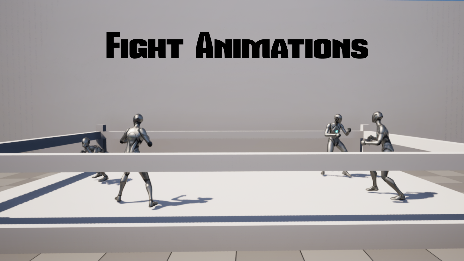Fight Animations | Fab