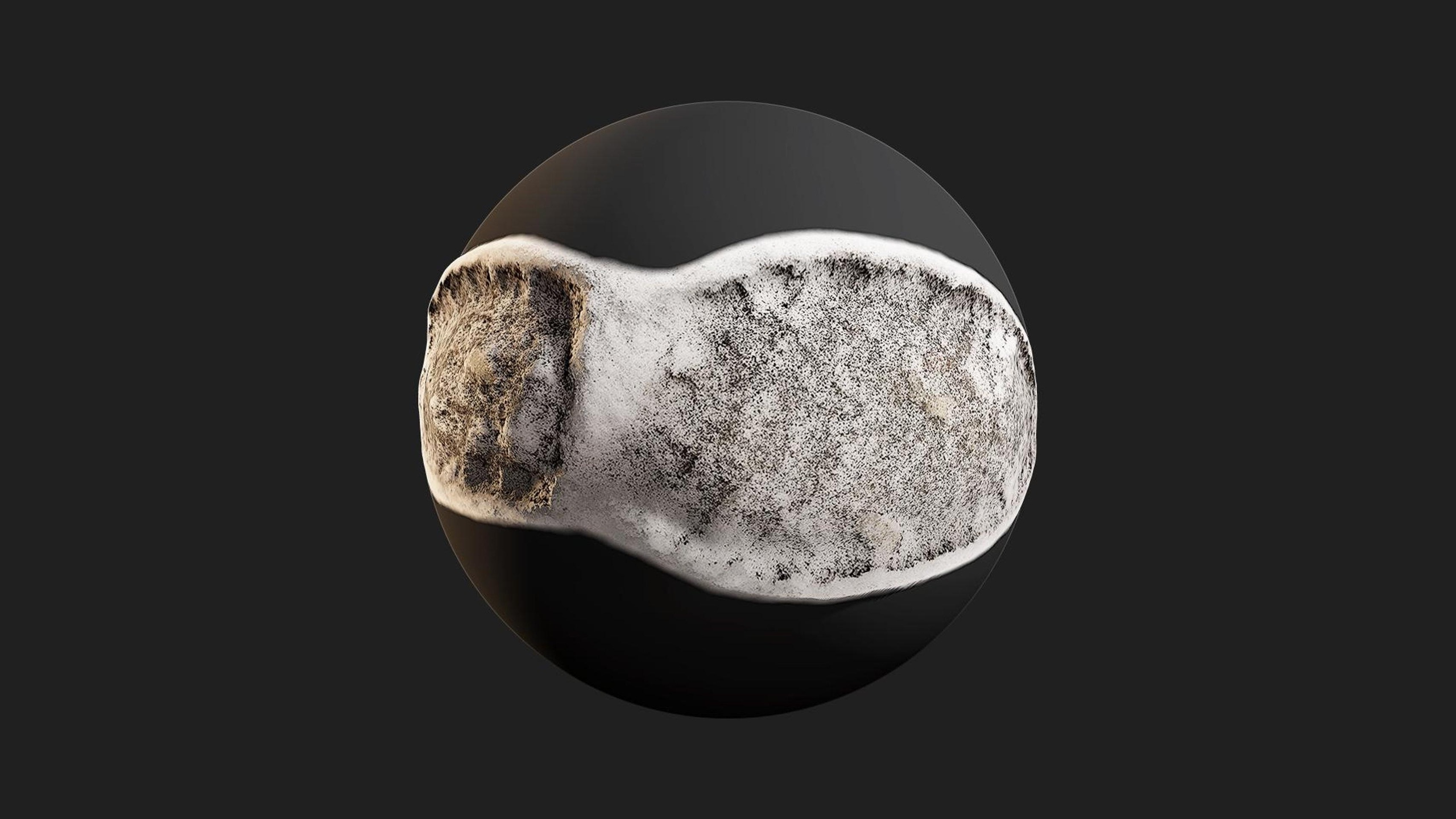 Media 1 for listing Snow Footprint