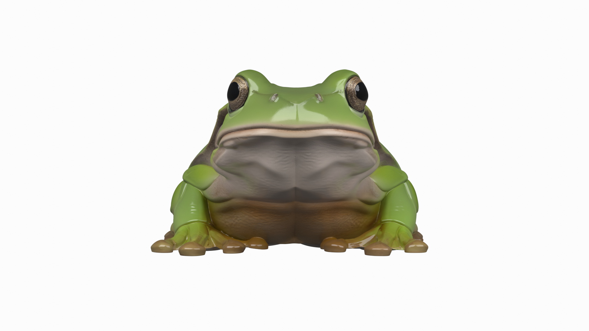 Green European Tree Frog Detailed 3D Model | Fab
