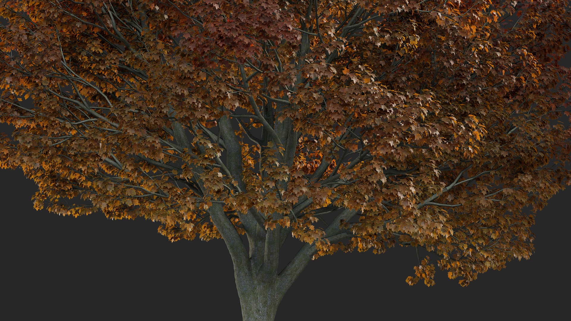 商品 Large tree collection V2 的媒体 1