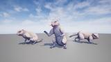 Asset image