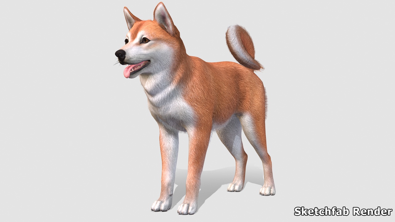 商品 Dog - Shiba Inu 的媒体 1