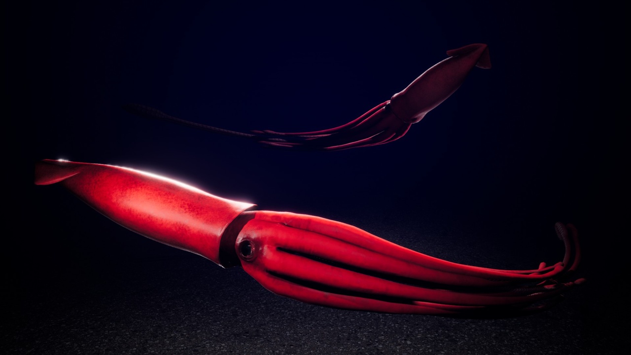 商品 Giant Squid with Spline System 的媒体 1