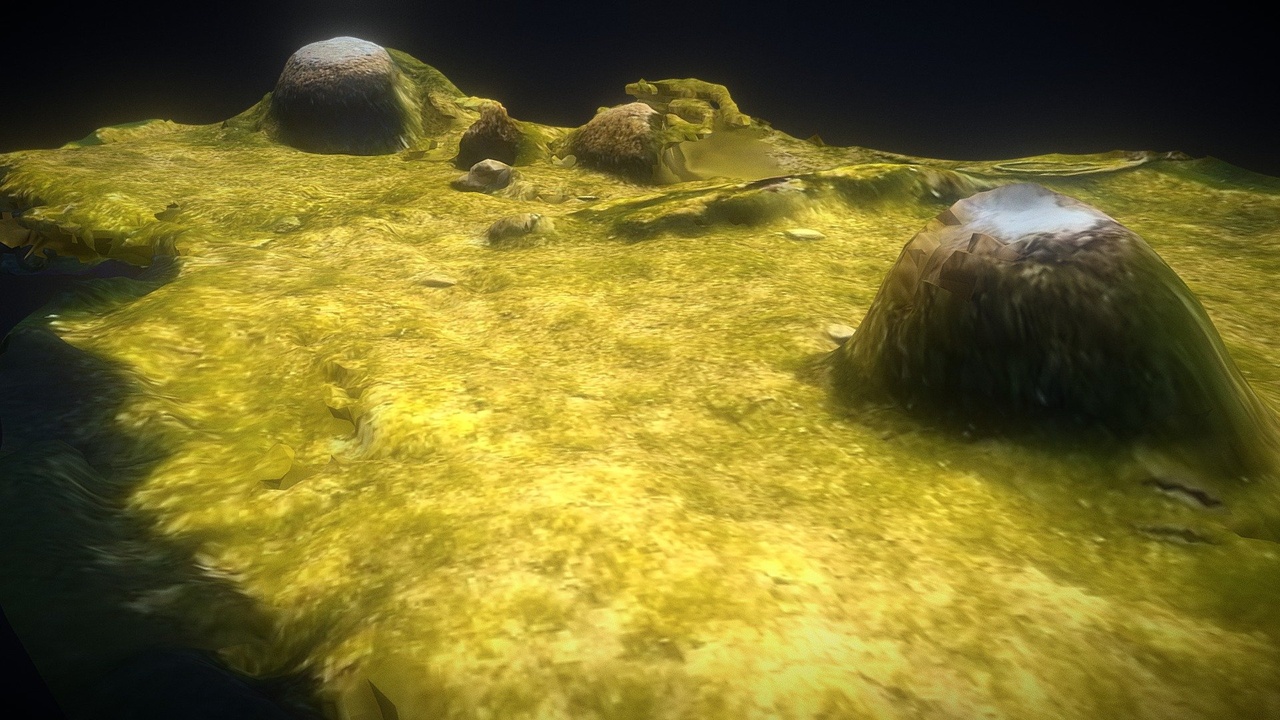 商品 Dream Fuel | Green Moss Under Water With Rocks 的媒体 1