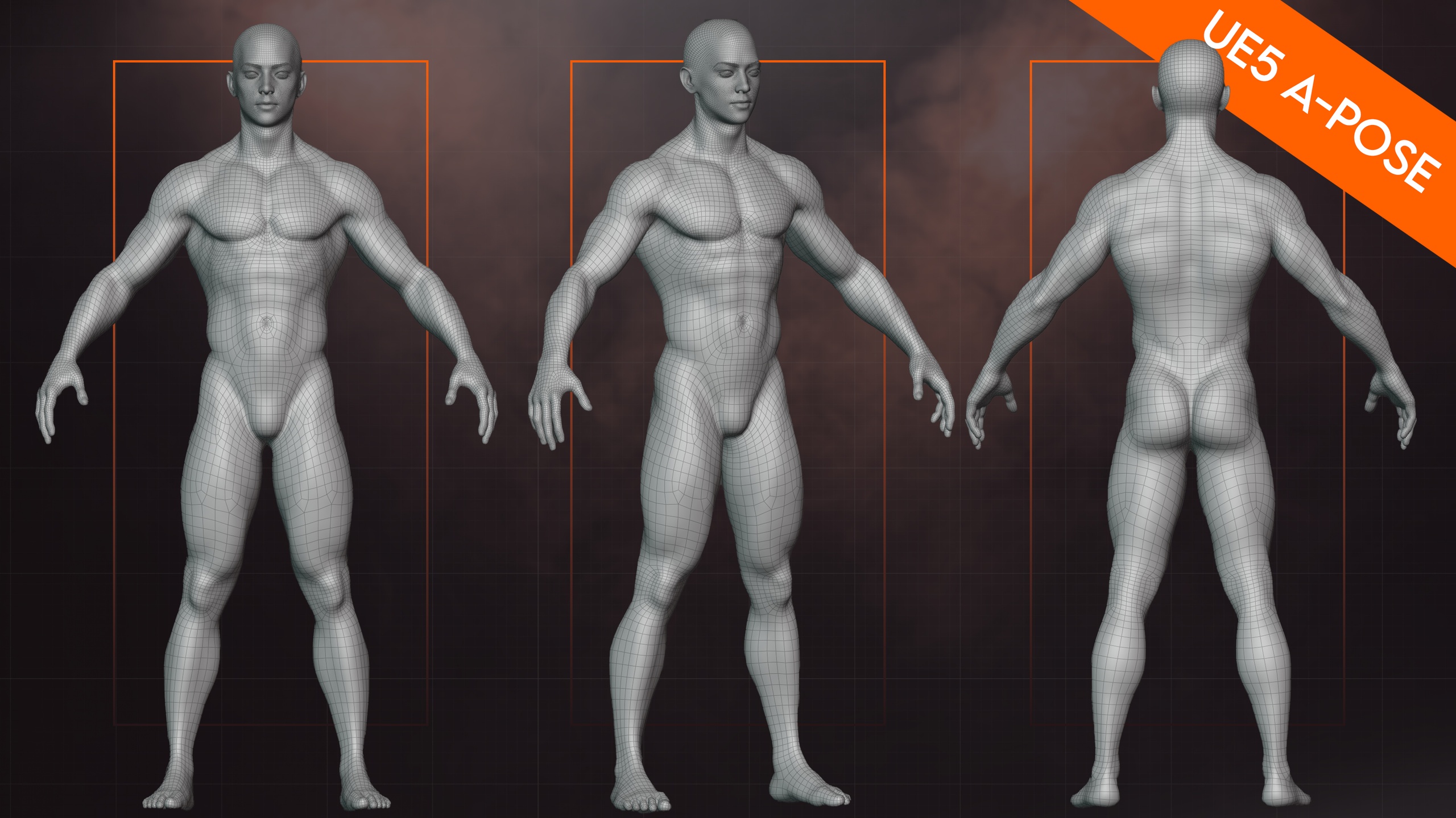 Media 1 for listing Male Base Mesh Vol.1 - Kim