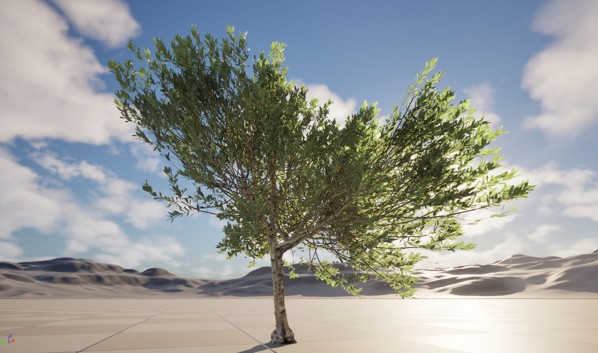 Media 1 for listing Nanite Wind Plants - Scanned Olea europaea - Common olive Pack 11