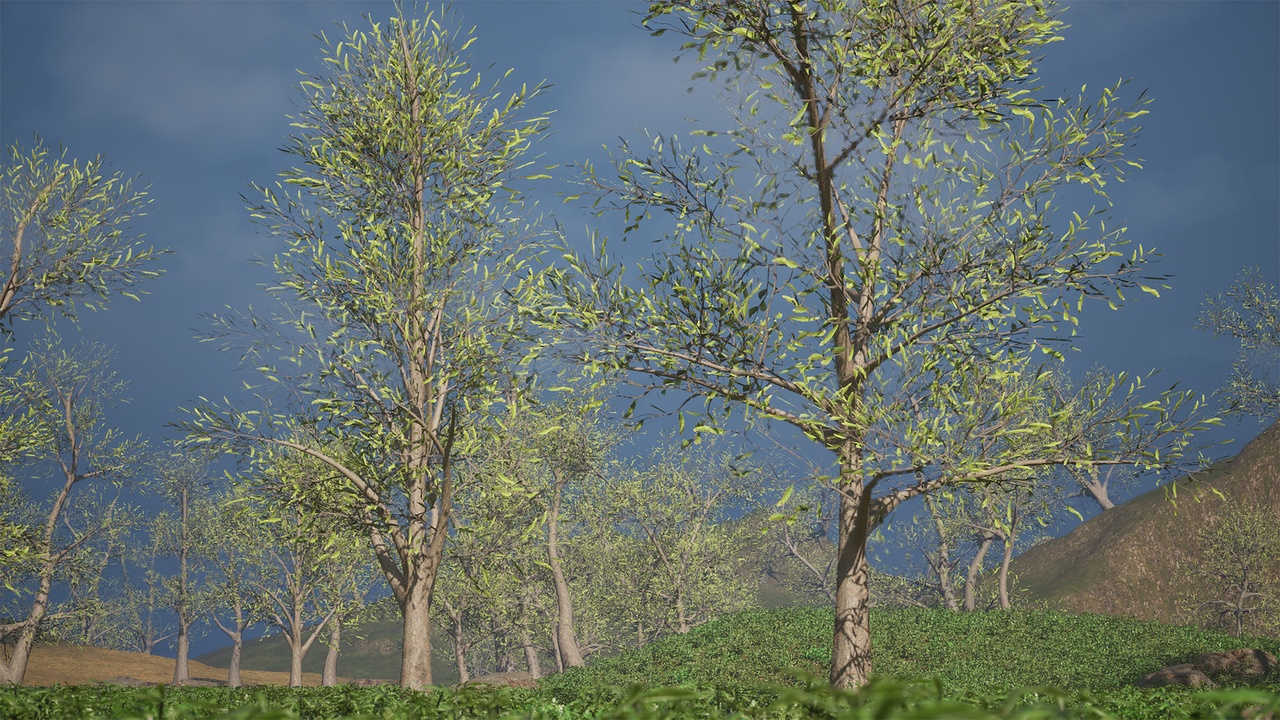 Media 1 for listing Realistic Low Poly Tree Pack 52M