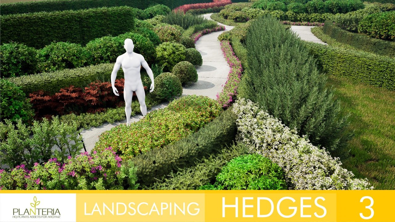 Media 1 for listing Hedges Path 3