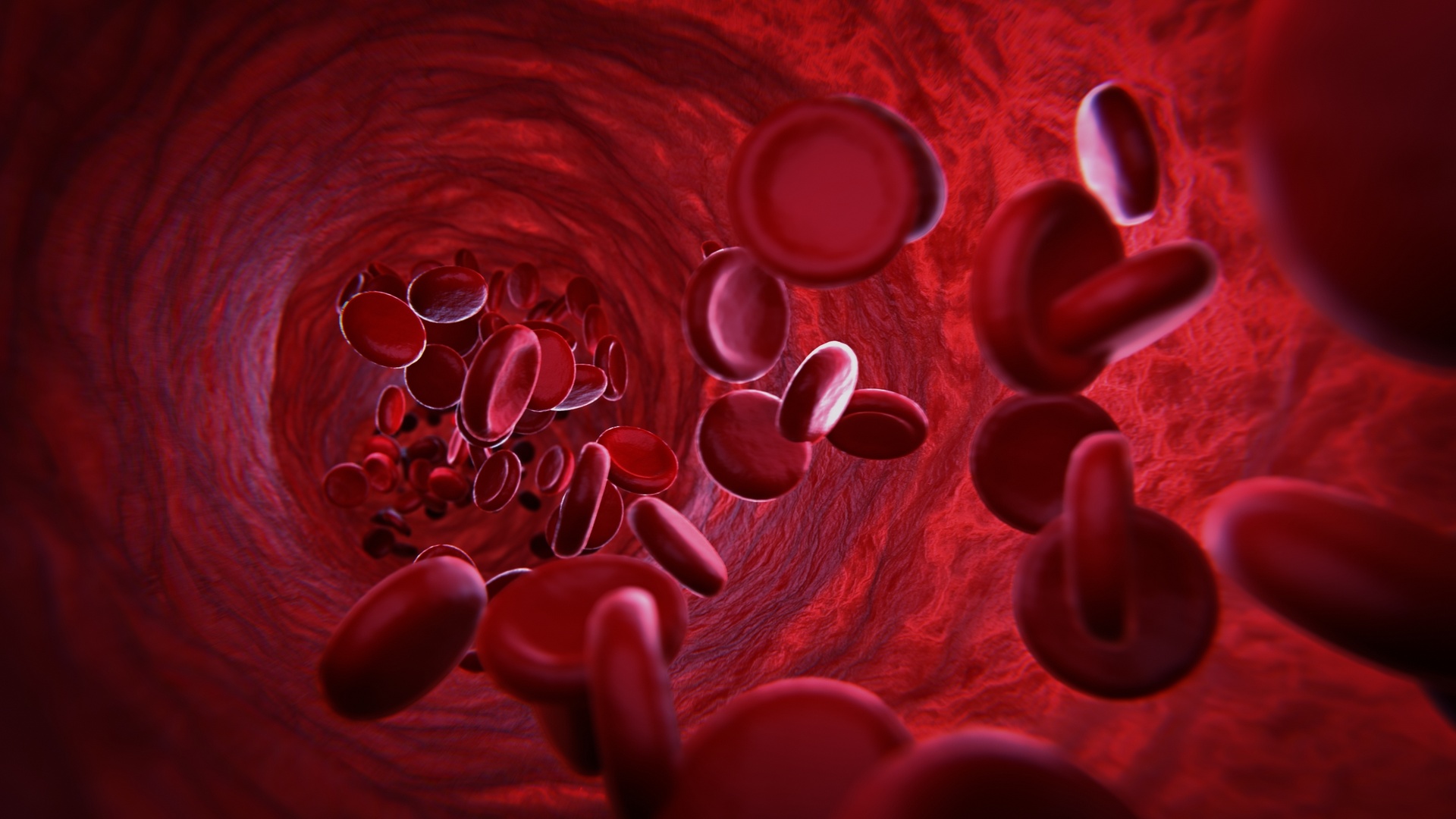 Media 1 for listing Blood Cells Medical Visualization Animation with Geometry Nodes