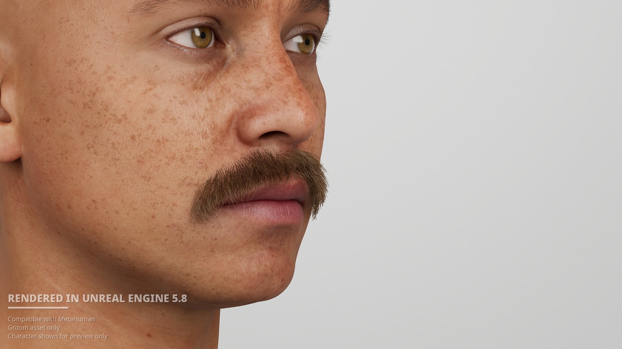 Media 1 for listing Natural Short Walrus Mustache – MetaHuman Groom