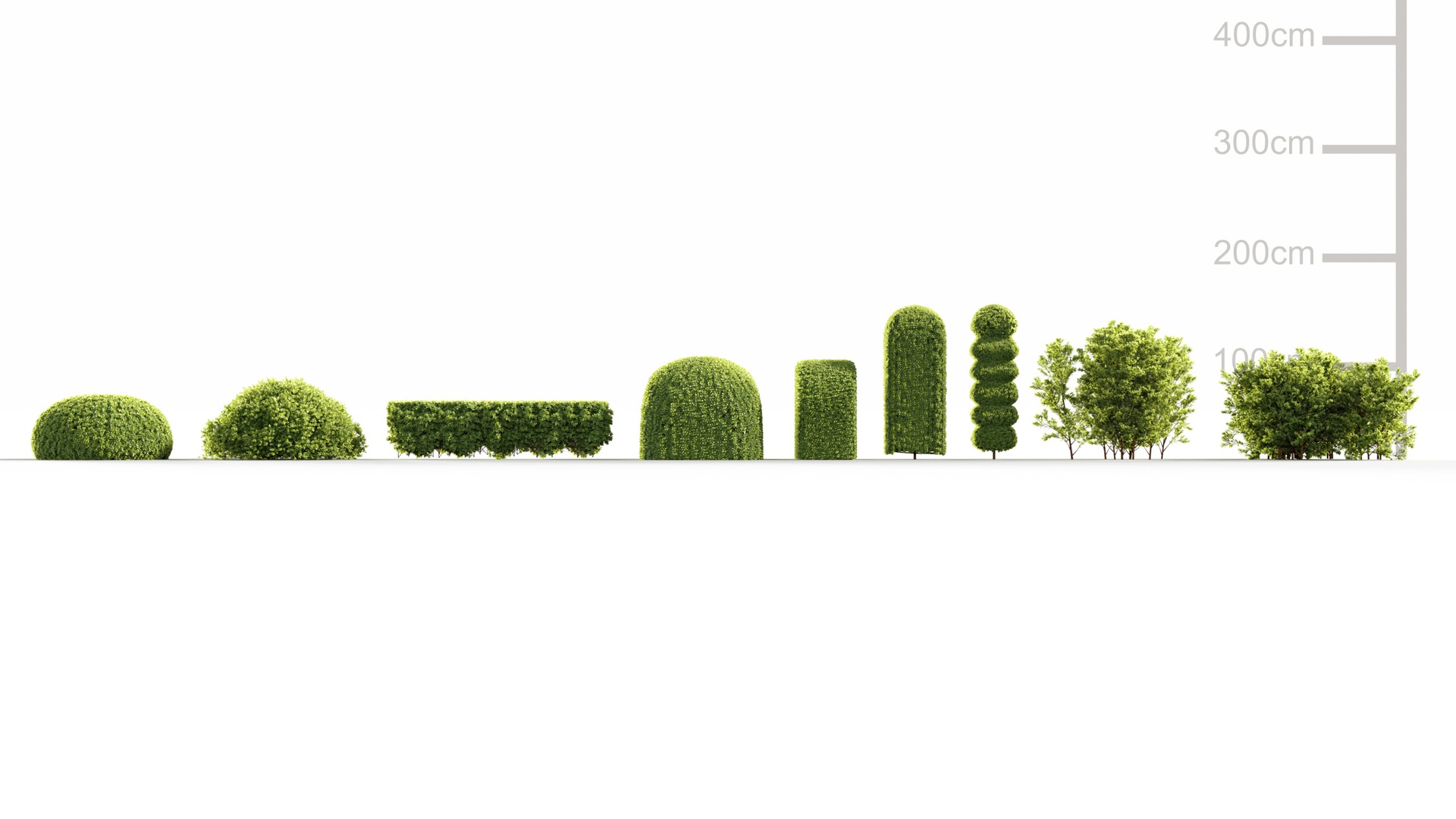 Media 1 for listing Hedge Shrub Collection
