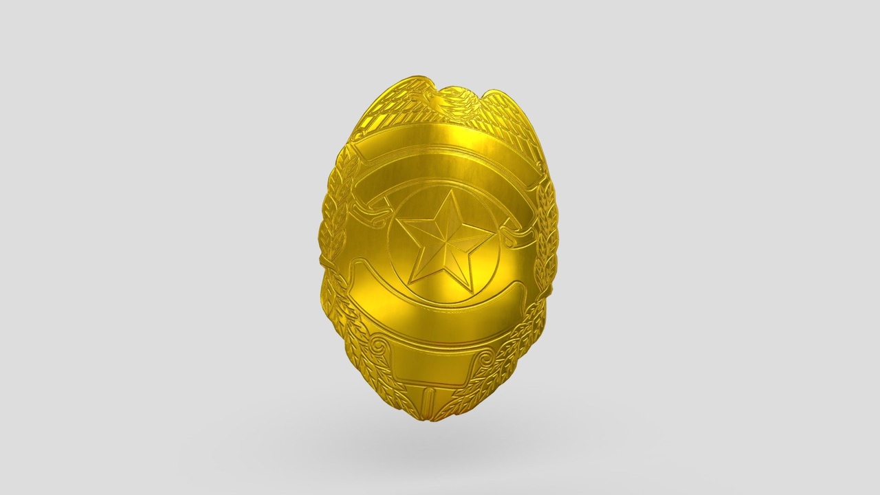 Media 1 for listing Police Badge 2