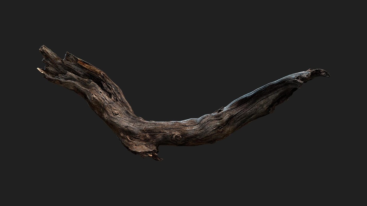 Media 1 for listing Tree Branch