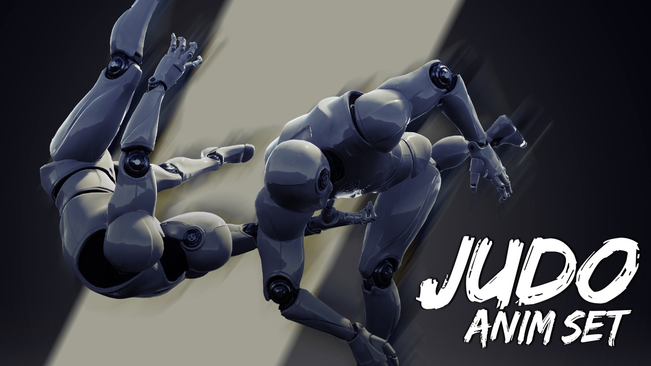 Media 1 for listing Judo AnimSet