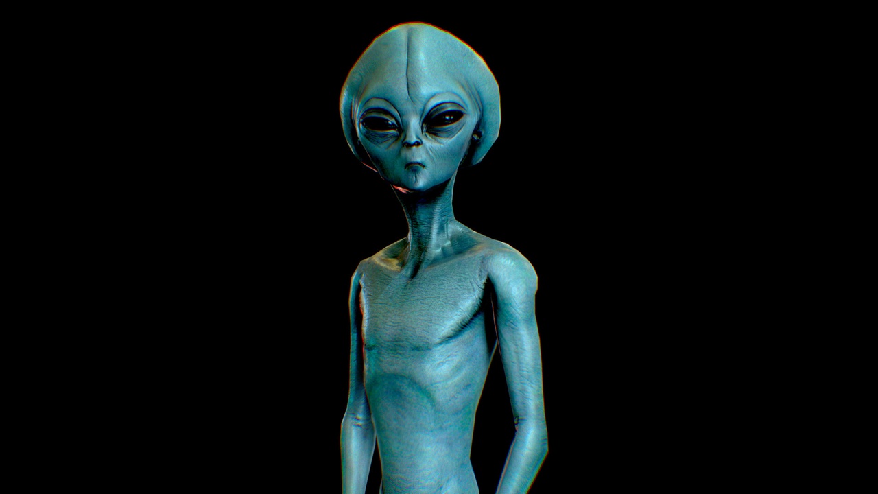 Media 1 for listing Realistic Alien 3