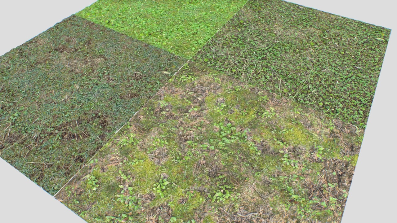 Forest ground PBR Pack 11 Textures | Fab